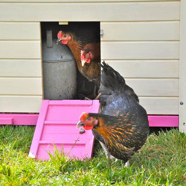 Westport Farm Cottages5